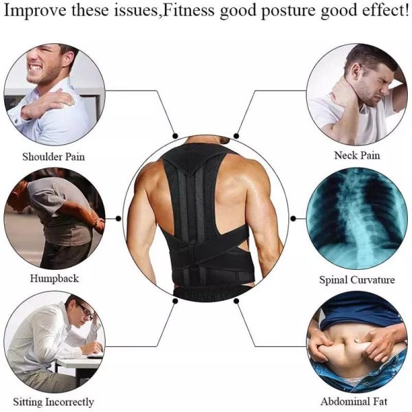 Posture Support Belt