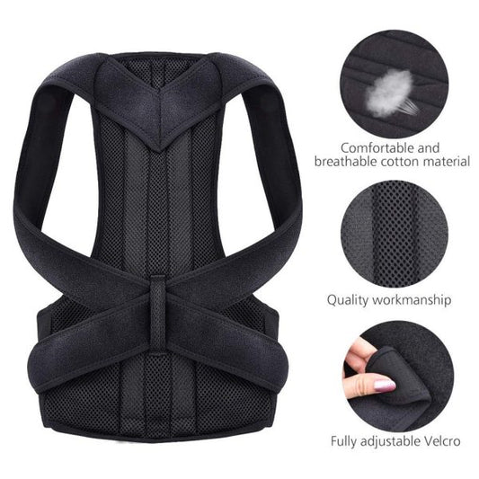 Posture Support Belt