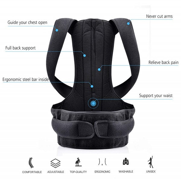 Posture Support Belt