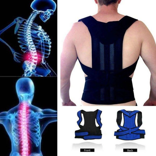 Posture Support Belt