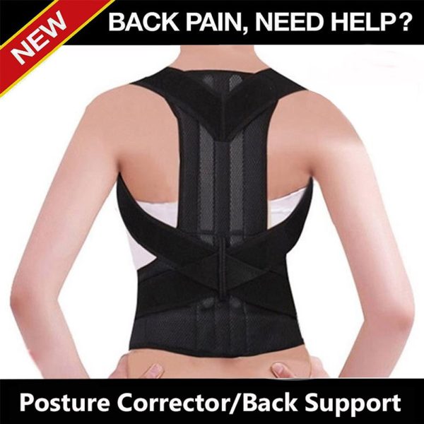 Posture Support Belt